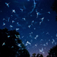 Illustration for article titled Sneak a Peek at the Years Best Wildlife Photography